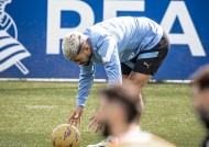 乐鱼app-乌拉圭队员在荷甲联赛中获得精彩进球(乌拉圭荷兰足球实力)